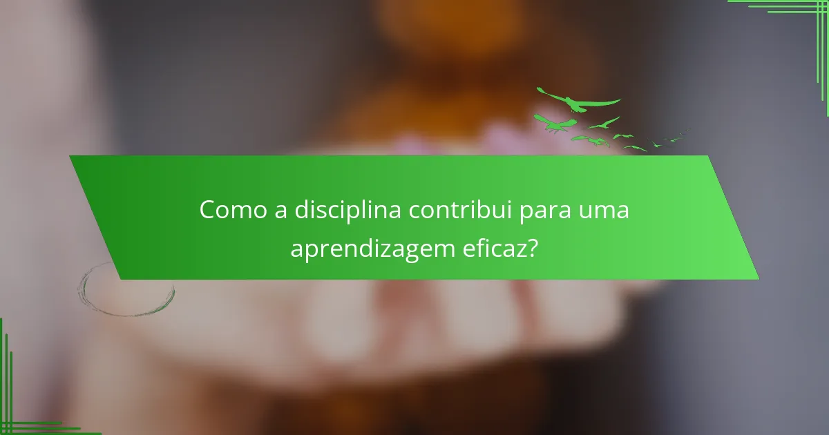 Como a disciplina contribui para uma aprendizagem eficaz?