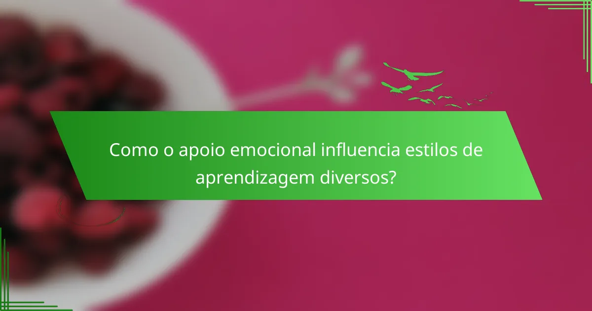 Como o apoio emocional influencia estilos de aprendizagem diversos?