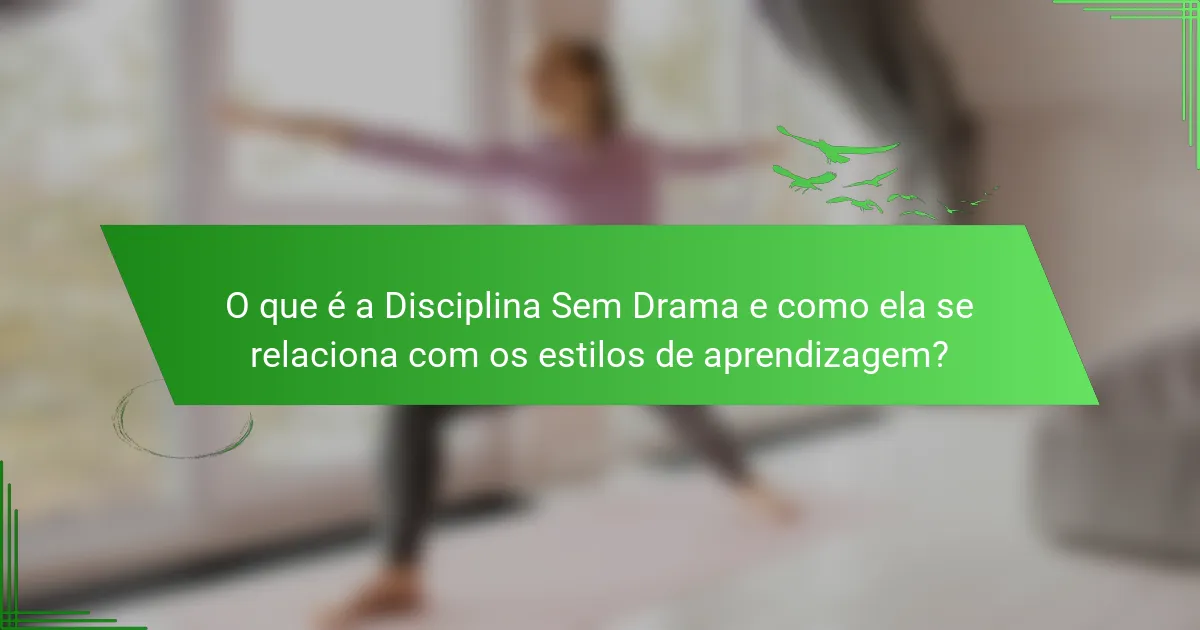 O que é a Disciplina Sem Drama e como ela se relaciona com os estilos de aprendizagem?