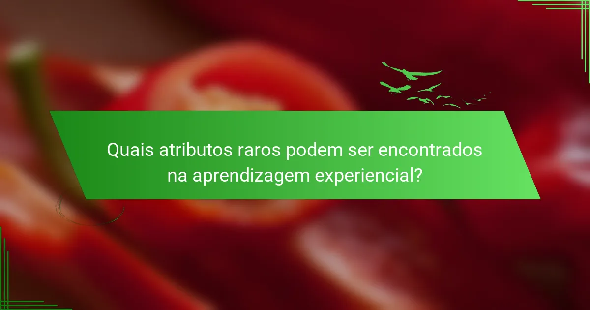 Quais atributos raros podem ser encontrados na aprendizagem experiencial?