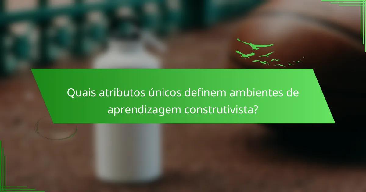 Quais atributos únicos definem ambientes de aprendizagem construtivista?