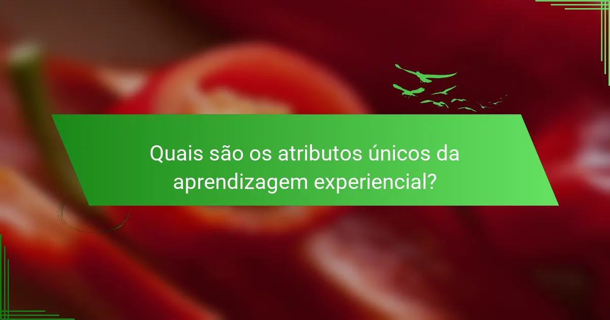 Quais são os atributos únicos da aprendizagem experiencial?