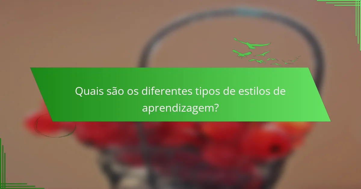 Quais são os diferentes tipos de estilos de aprendizagem?