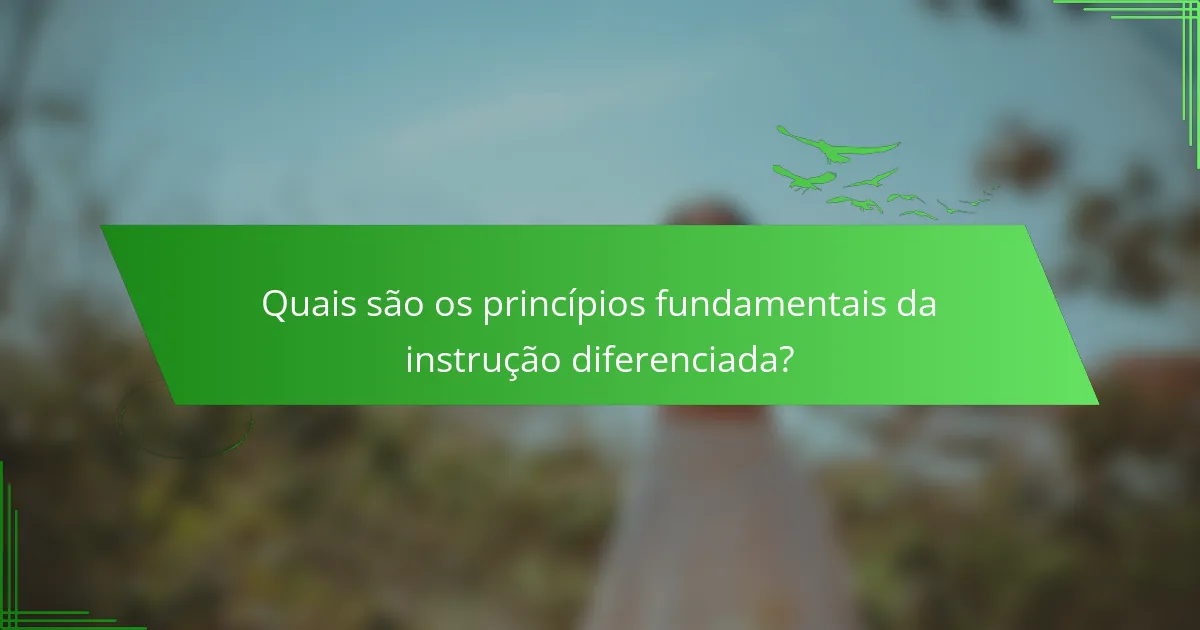 Quais são os princípios fundamentais da instrução diferenciada?