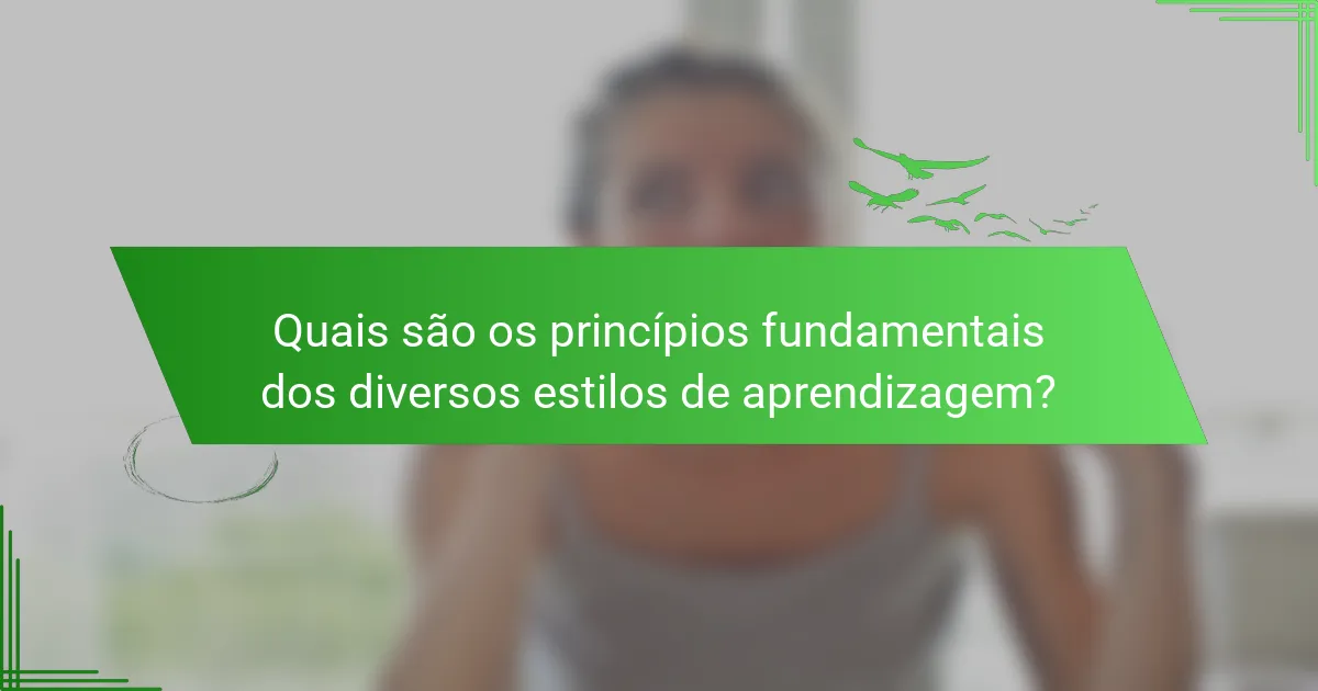 Quais são os princípios fundamentais dos diversos estilos de aprendizagem?