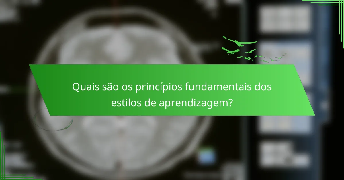 Quais são os princípios fundamentais dos estilos de aprendizagem?